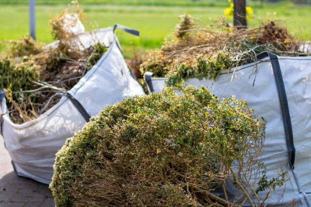 Best Garage Cleanout  in Rome, IL